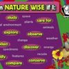 Multiple Intelligences Poster Set